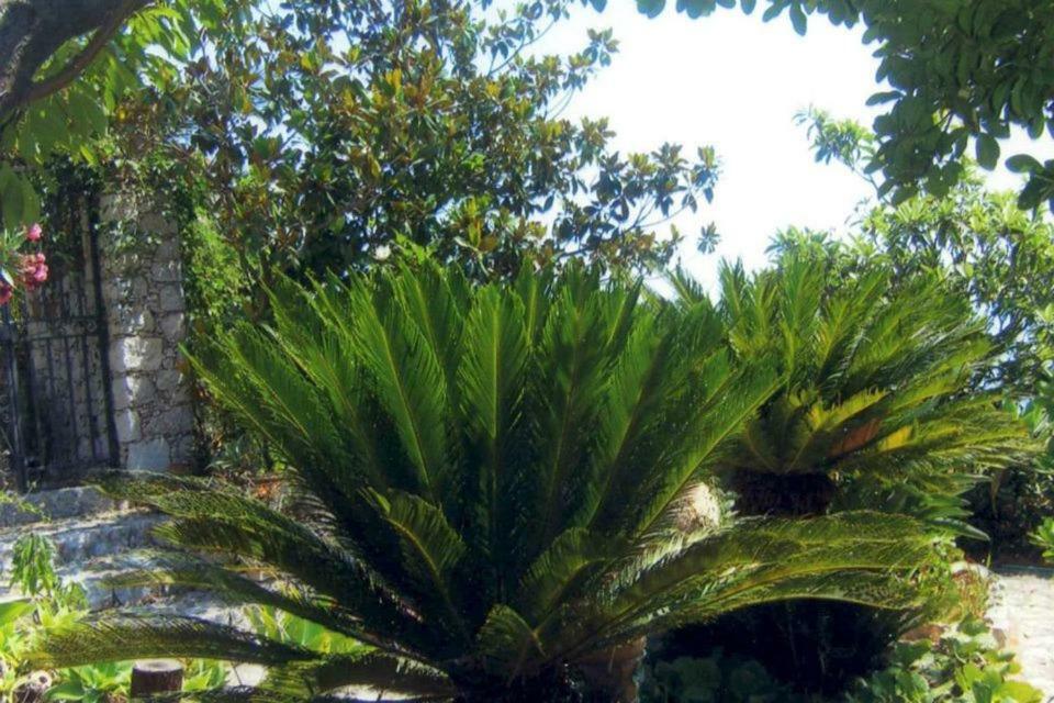 Villa Branco Taormina Eksteriør bilde